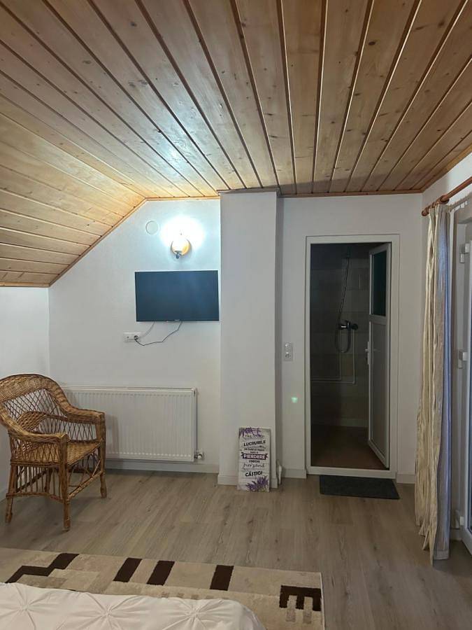 Gîte pour 2 personnes, avec jardin et vue, animaux acceptés à Alba (Romania) - 3