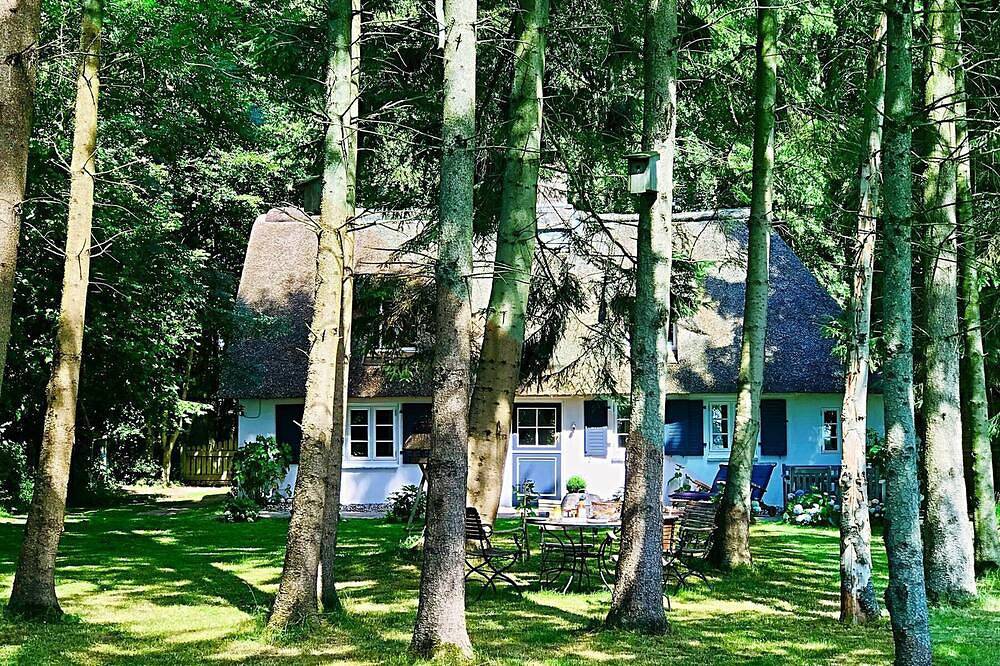Ferienhaus \"Küstenwäldchen\" in Rabenkirchen-Faulück. in Rabenkirchen-Faulück, Kappeln & Umgebung