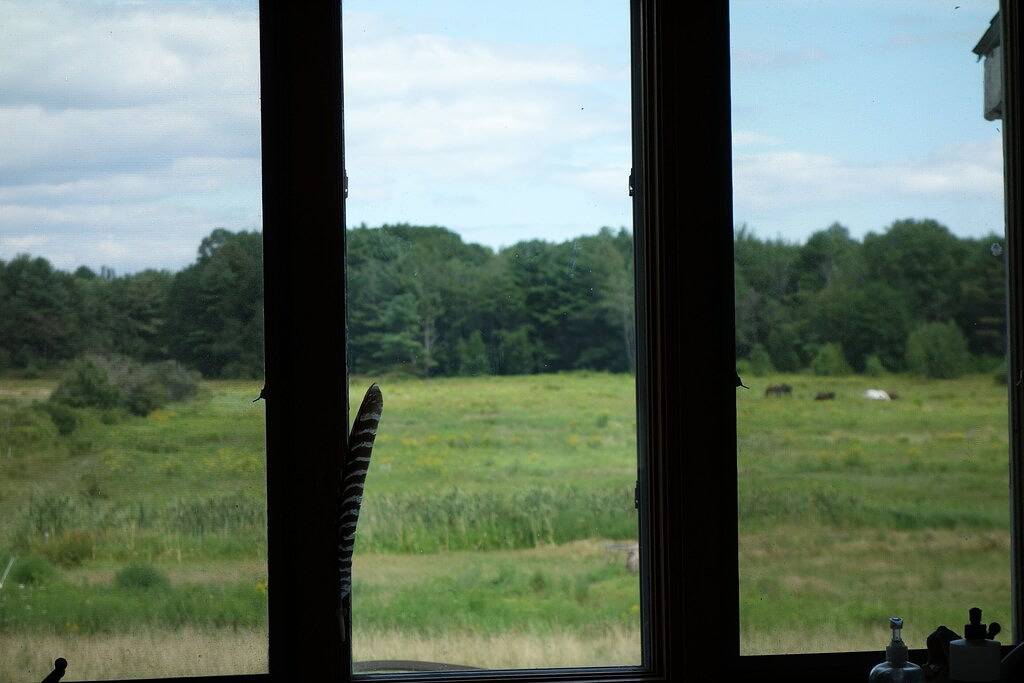 Familienfreundliches Zuhause in Biddeford, York County