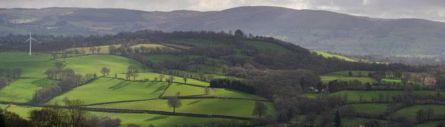 Chalet for 4 People in Mid-Wales, Ceredigion, Photo 3