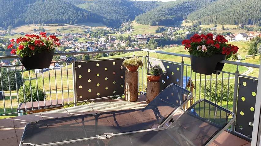Location de vacances pour 9 personnes, avec terrasse à Baiersbronn - 2