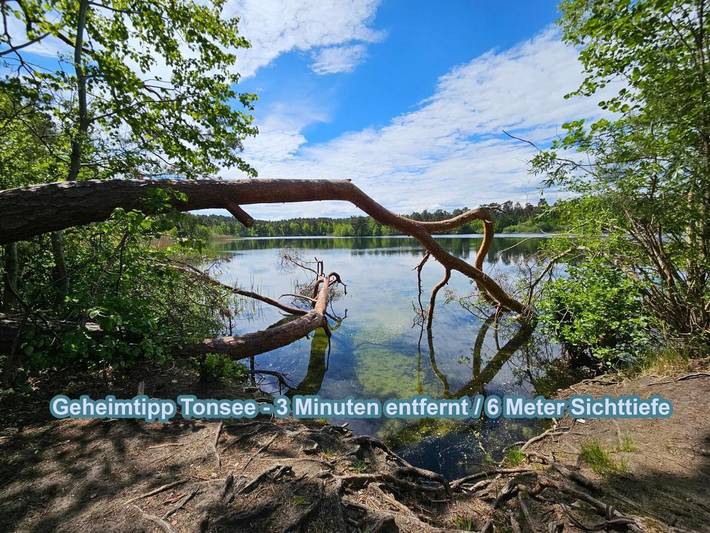 Ferienwohnung für 5 Personen, mit Terrasse und Garten sowie Ausblick in Groß Köris - 4