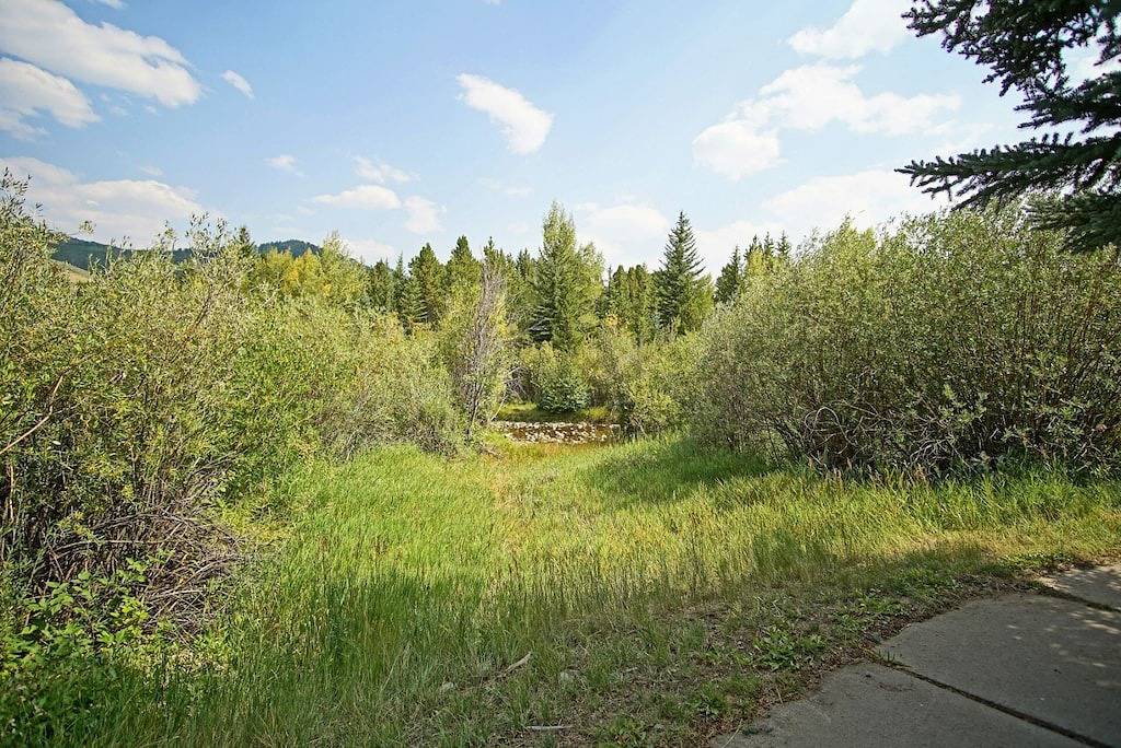 Close to 5 Ski Resorts - On Free Bus Route - Blue River in Backyard - Hot Tub in Silverthorne, Arapaho and Roosevelt National Forests