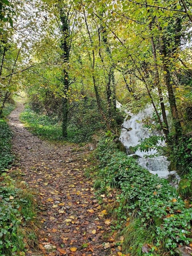 Location de vacances pour 4 personnes, avec terrasse et vue, animaux acceptés à Saint-Pierre-d'Albigny - 3