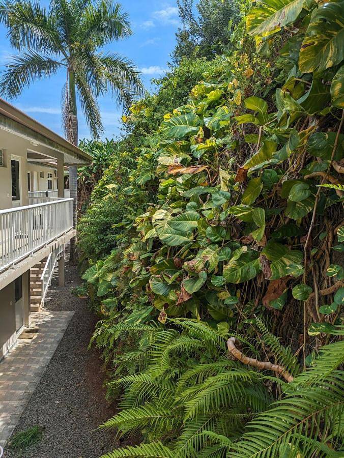 Gîte pour 3 personnes, avec piscine ainsi que vue et jardin dans Pirae - 4
