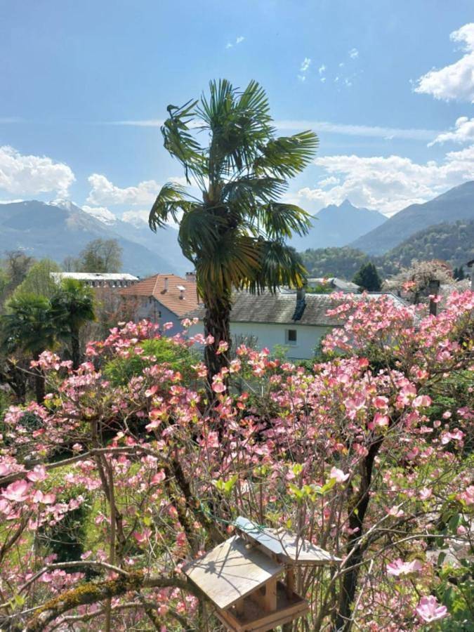 Double Room in Argelès-Gazost, Pyrénées