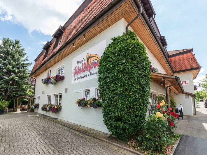Hôtel pour 2 personnes, avec terrasse dans Tubingen - 3