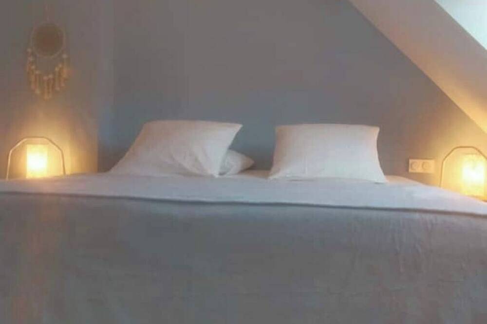 Apartamento entero, 🏡 L'Entre-Potes - Cosy apartment for 4 people in Sully-sur-Loire, Valle del Loira