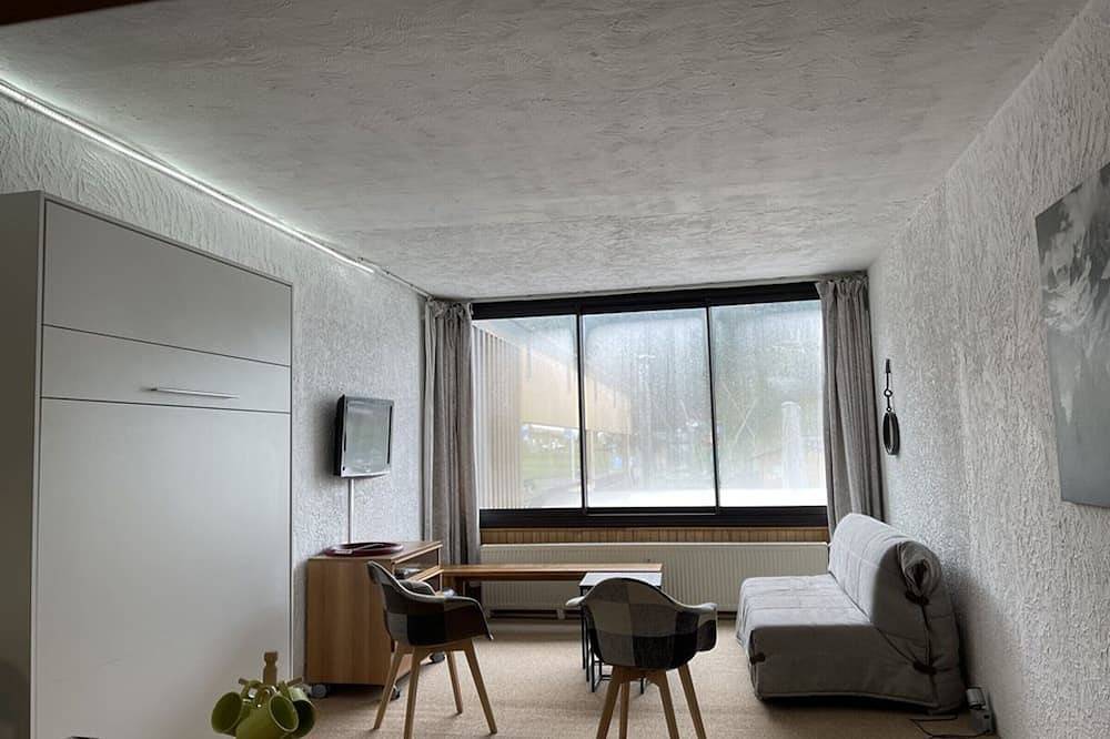 Entire apartment, Ski-In/Ski-Out Studio, Sleeps 5, Wifi, Pets Welcome, 40m² in Le Lioran, Laveissière