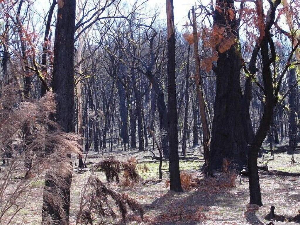 Holiday Home for 2 People in Halls Gap, Shire of Northern Grampians