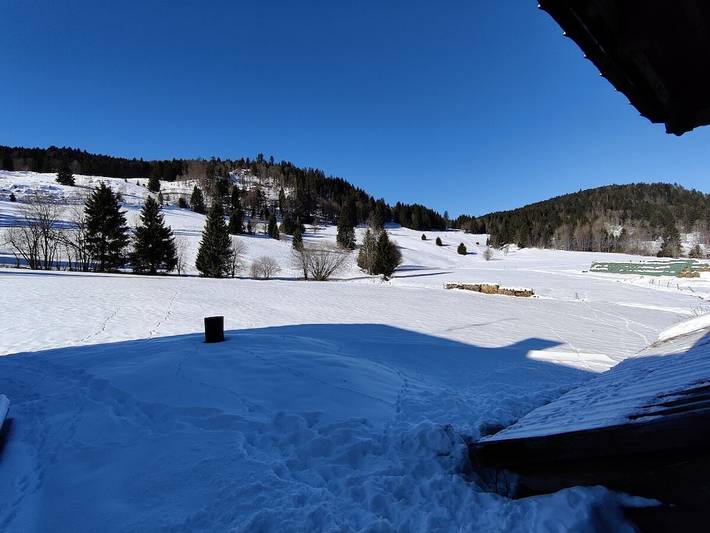Ferienhaus mit 1 Schlafzimmer in Menzenschwand-Vorderdorf (St. Blasien), St. Blasien