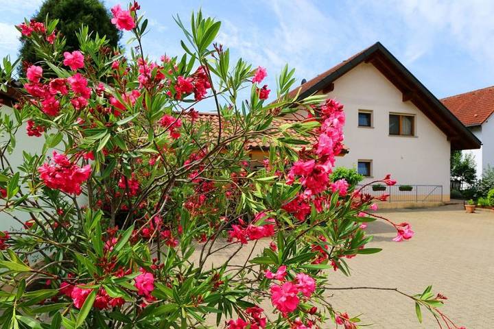 Appartement de vacances pour 5 personnes, avec balcon et jardin