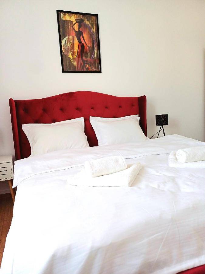 Gîte pour 6 personnes, avec jardin et vue, animaux acceptés dans Cluj-Napoca - 2