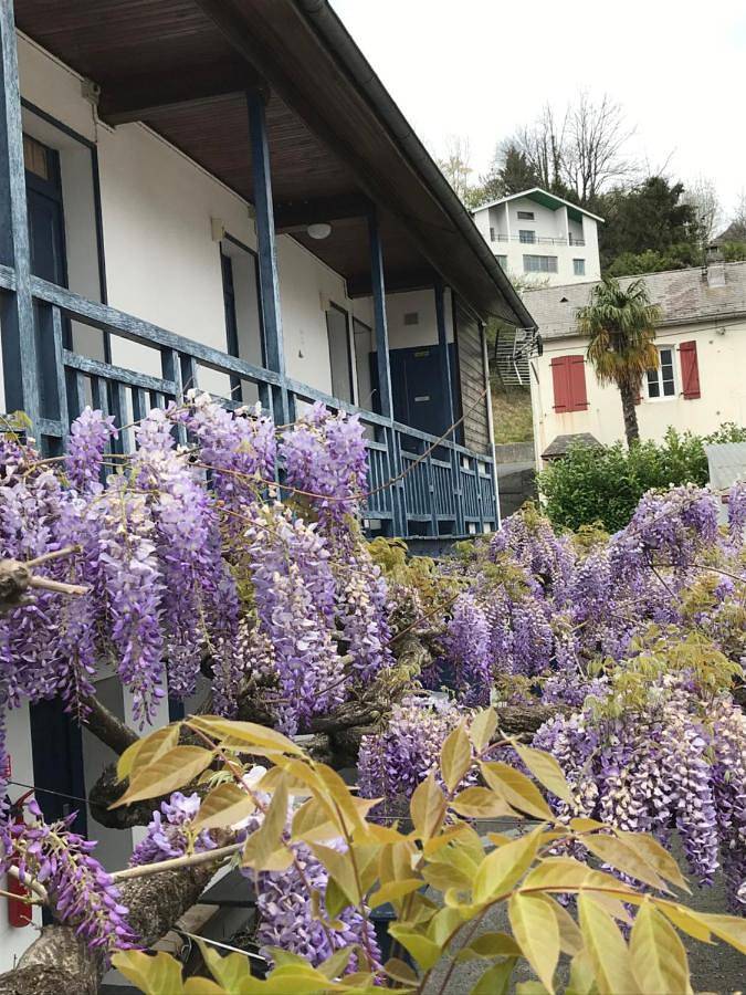 Maison d’hôte pour 3 personnes, avec jardin, animaux acceptés à Lourdes - 3