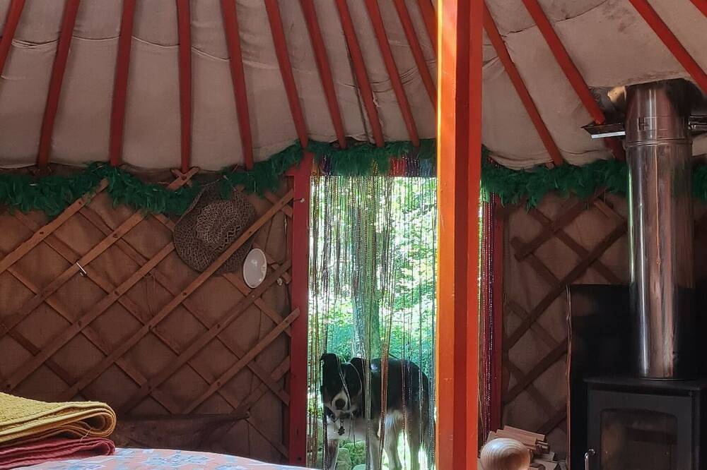 Traditional Yurt, woodburner, private loo, outdoor shower, woodfired hottub. in Gloucestershire