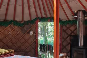 Glamping for 2 People in Gloucestershire, Photo 2