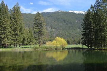 Log Cabin for 2 People in Flathead National Forest, Montana, Photo 4
