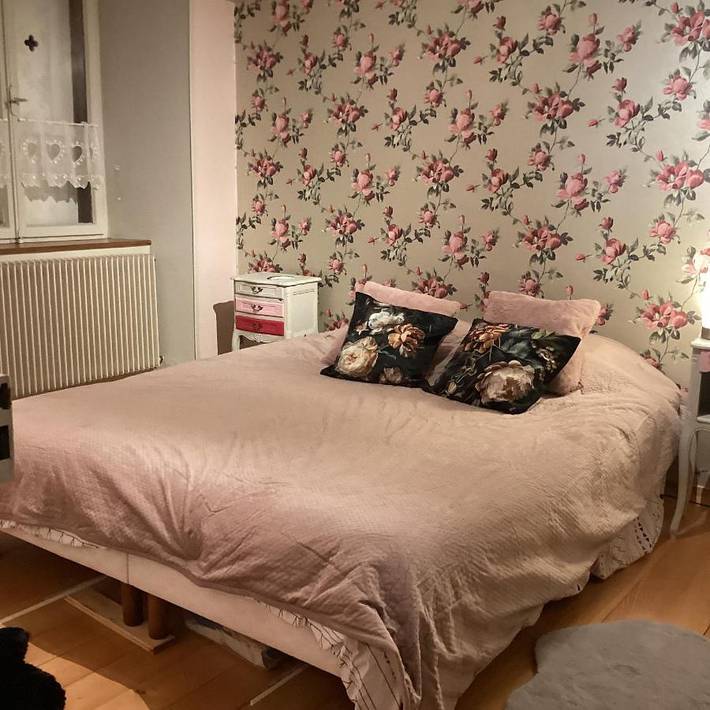 Gîte pour 4 personnes, avec terrasse et jardin, animaux acceptés à Kientzheim - 3