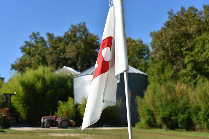 Vacation rental for 40 people, with yard in Hoosier National Forest