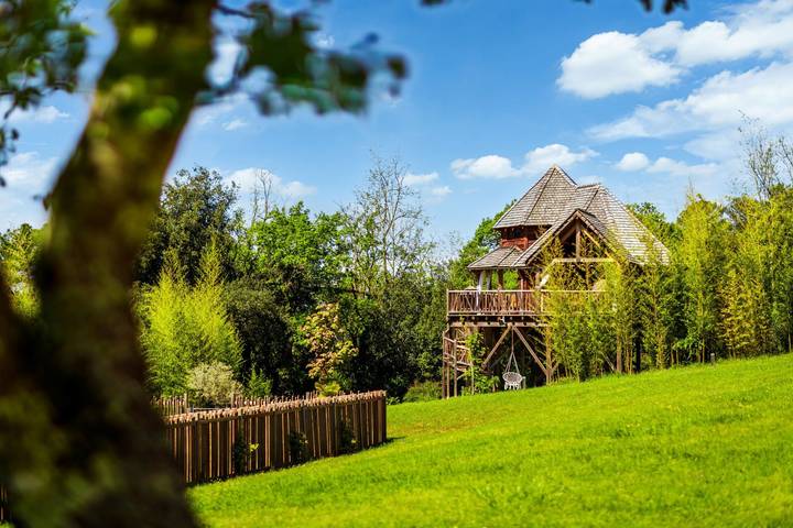 Chambre d’hôte pour 4 personnes, avec jardin et jacuzzi ainsi que piscine et sauna à Carsac-Aillac - 4