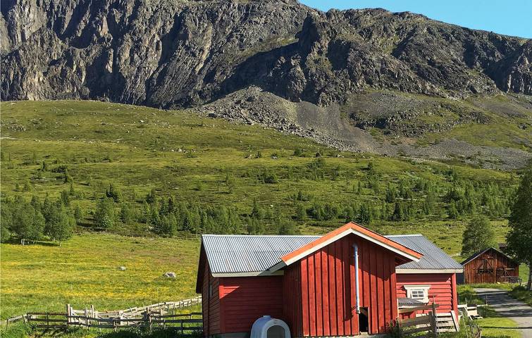 Ferienhaus für 8 Personen, mit Garten, mit Haustier in Hemsedal - 3
