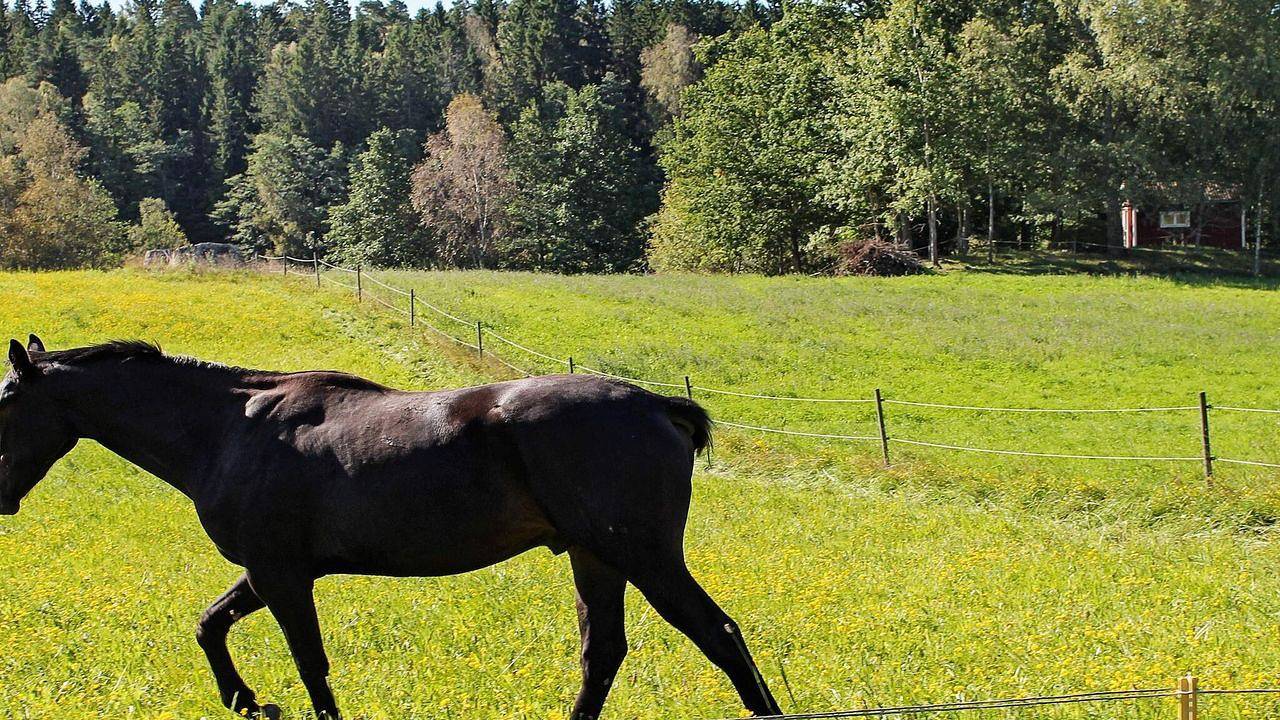 Ferienhaus für 6 Personen (50 m²) in Stjärnhov in Gnesta, Södermanland