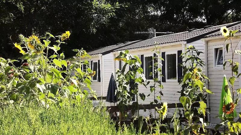02-Mobil-Home Mitoyen Standard 17m2 (1ch - 1/2 pers.) + Tv + Clim 1 Ã  2 personnes - 1 pers. inclus dans le tarif in Bresles, Oise