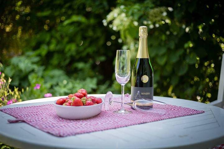 Ferienhaus für 3 Personen, mit Terrasse, mit Haustier in St. Peter-Ording - 2