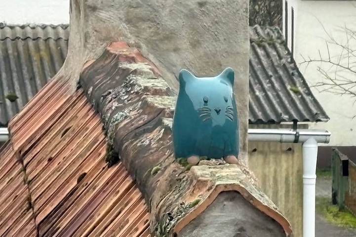 Ferienhaus für 5 Personen, mit Garten, mit Haustier