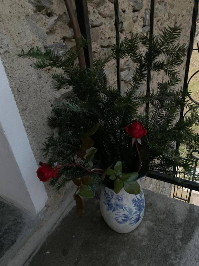 Gîte pour 4 personnes, avec vue et jardin à Teglio - 3
