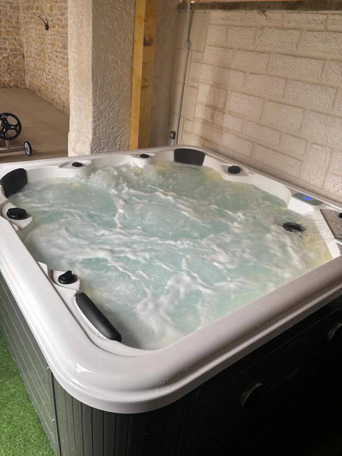 Location de vacances pour 12 personnes, avec sauna et jacuzzi ainsi que piscine et jardin dans Jaunay-Marigny - 4