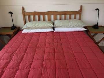 Cottage for 5 People in Taupo, Taupo District, Photo 2