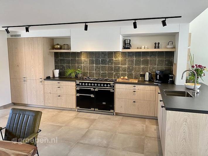 Ferienhaus für 6 Personen, mit Balkon/Terrasse und Terrasse sowie Garten und Sauna in Nieuwvliet - 4