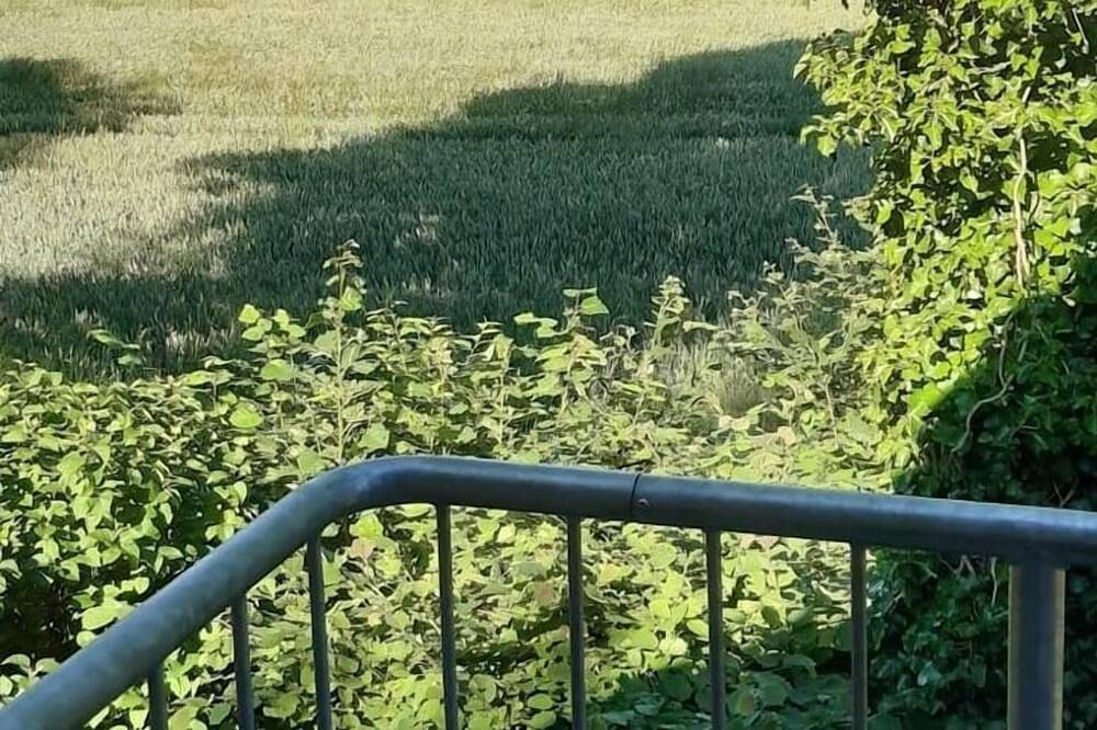 Ganze Wohnung, Ferienwohnung/App. für 2 Gäste mit 45m² in Schortens in Schortens, Nordseeküste