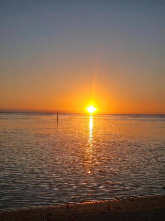 Maison d’hôte pour 2 personnes, avec jardin et vue dans Ha'apiti - 2