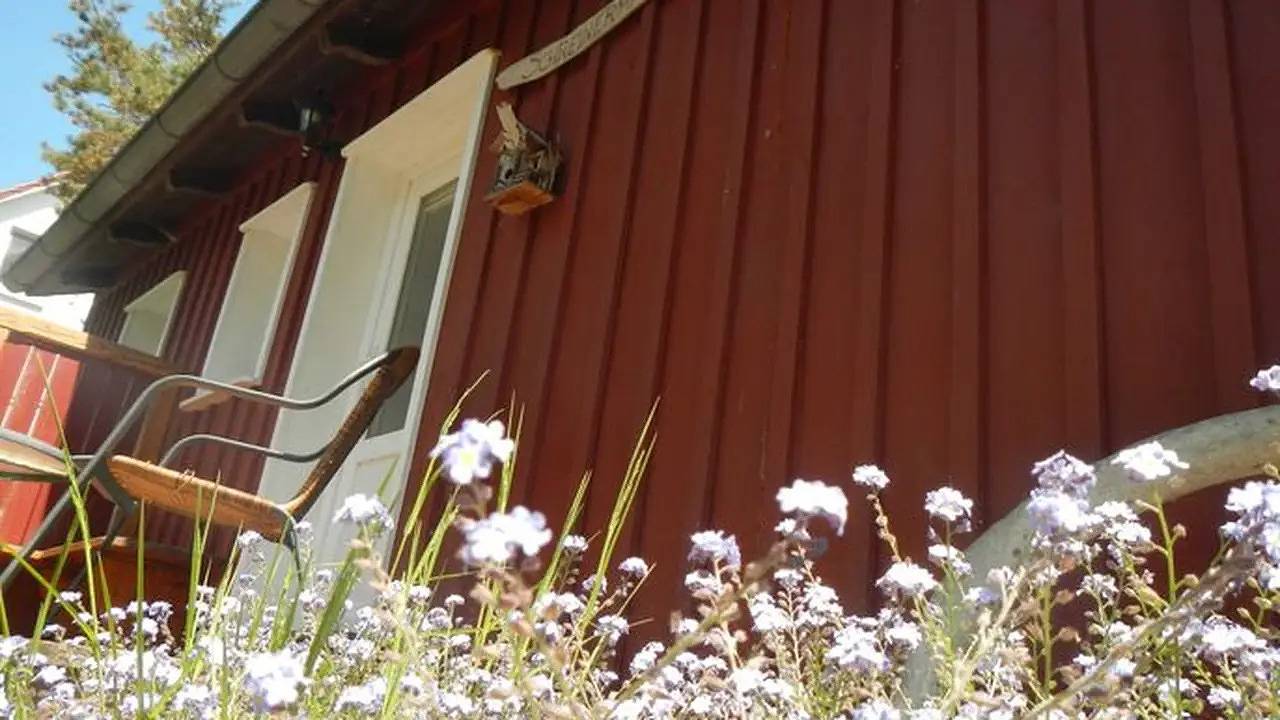 Ganze Ferienwohnung, Ferienwohnung für 3 Personen (30 m²) in Insel Hiddensee in Hiddensee, Vorpommern-Rügen