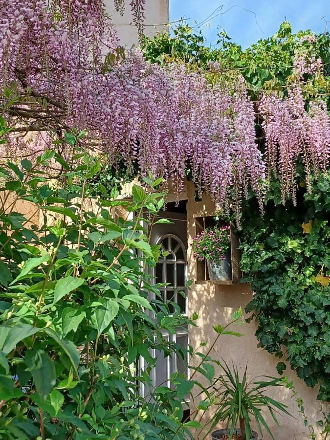 Gîte pour 2 personnes, avec jardin et vue, animaux acceptés à Peyrolles-en-Provence - 2