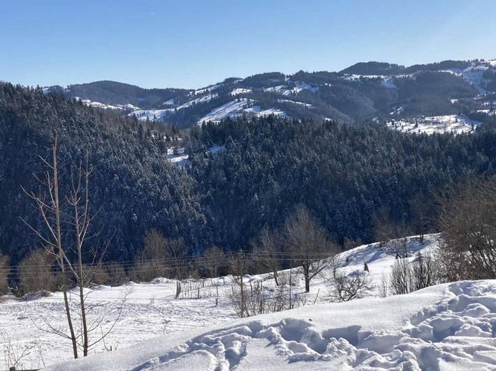 Maison d’hôte pour 2 personnes, avec piscine ainsi que vue et jardin, animaux acceptés à Alba (Romania) - 4