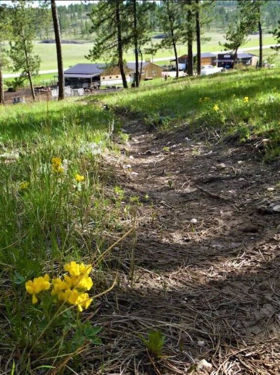 Vacation rental for 6 people, with terrace in Custer State Park