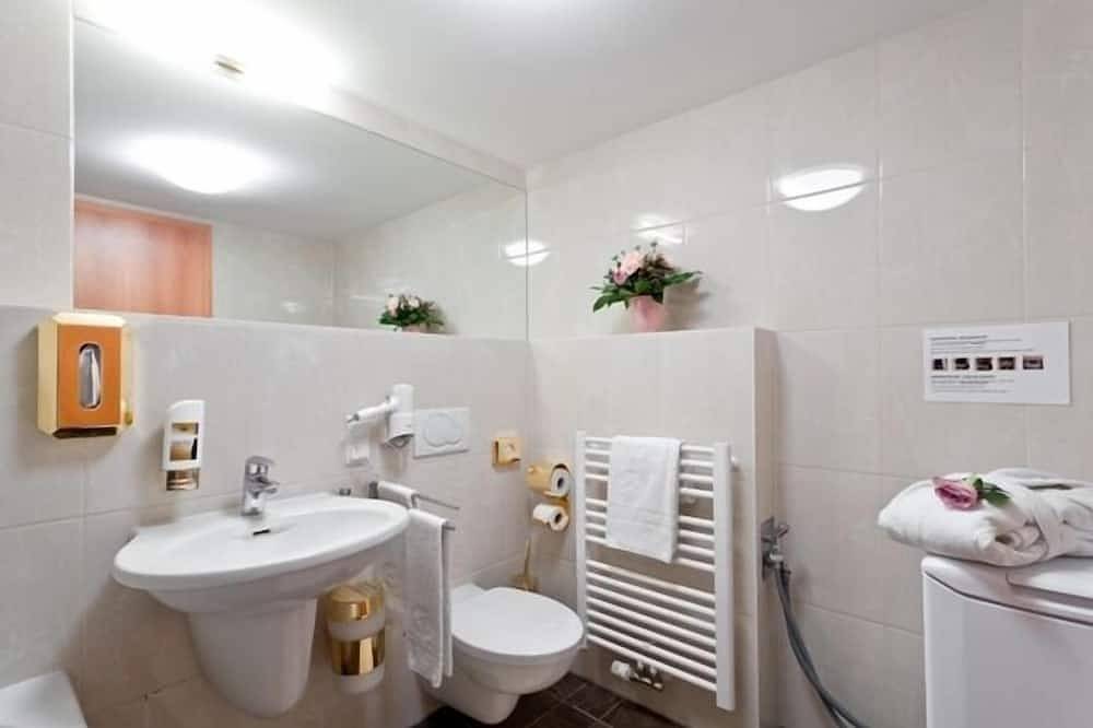 Appartamento intero, Apartment with kitchen and bathroom in Altstadt (Dresden), Dresda