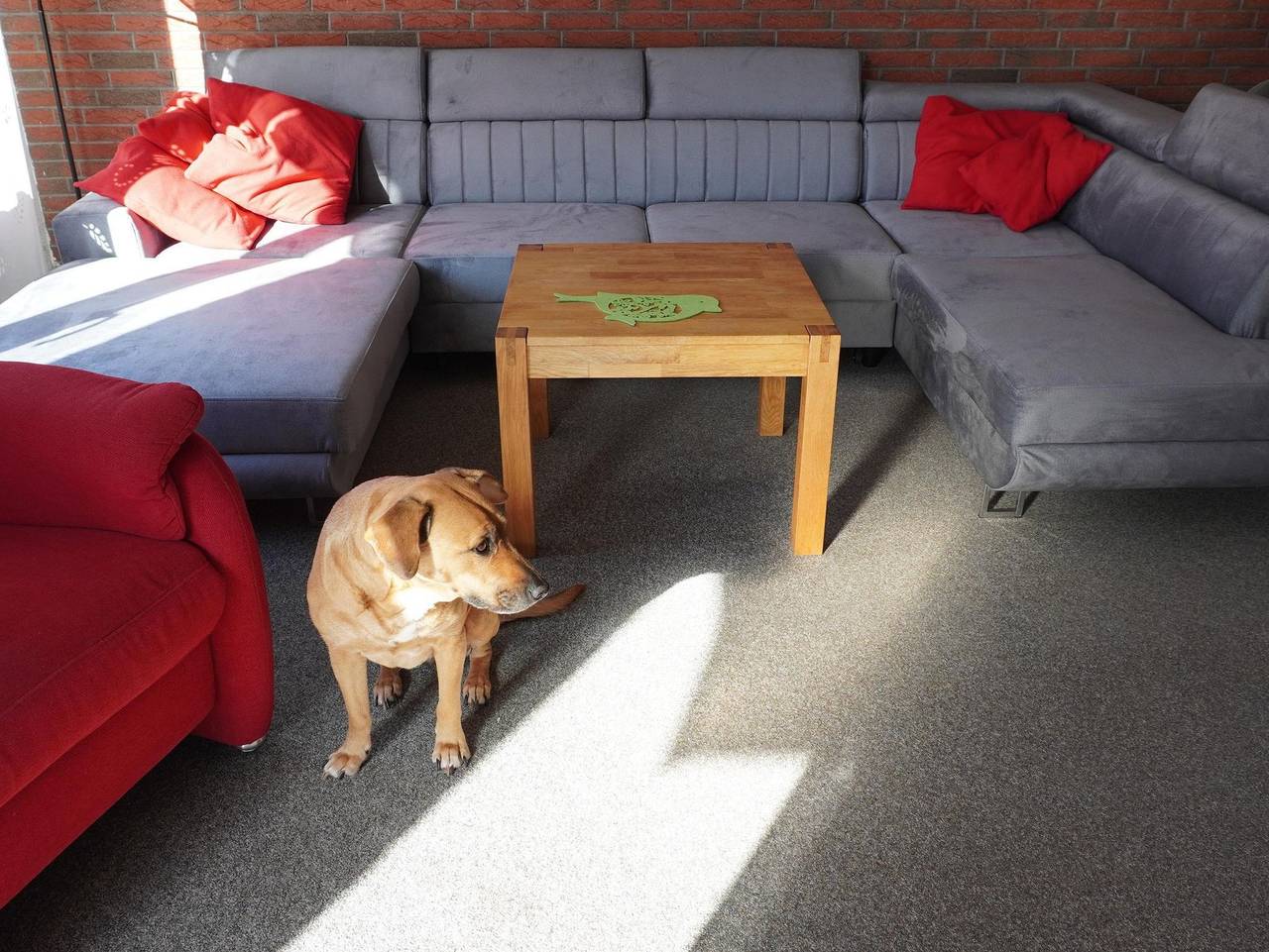 Bild 1