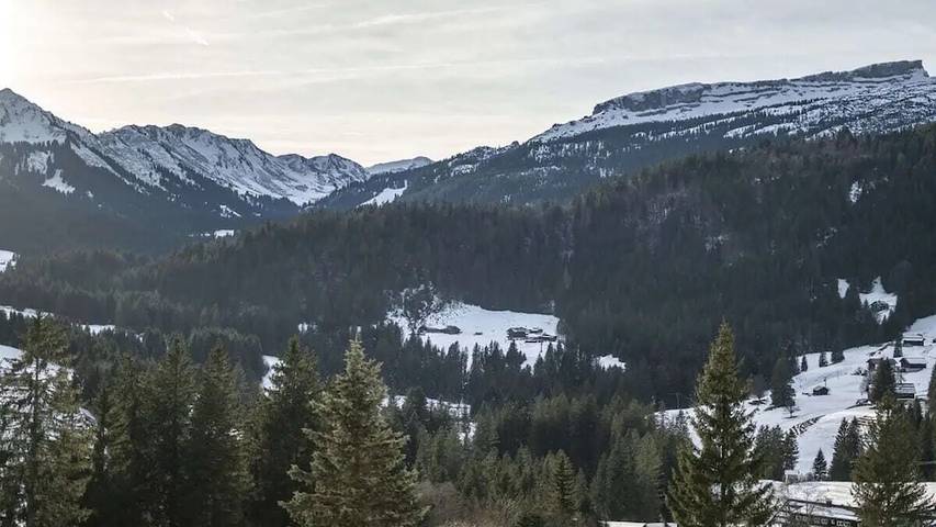 Ferienhaus für 4 Personen, mit Balkon im Kleinwalsertal - 2