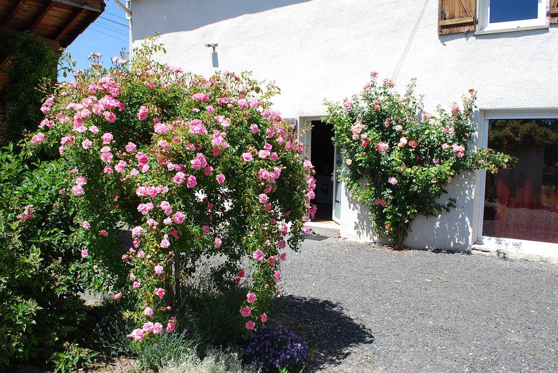 Gîte "La Ferme des Chênes" in Chambœuf, Montbrison