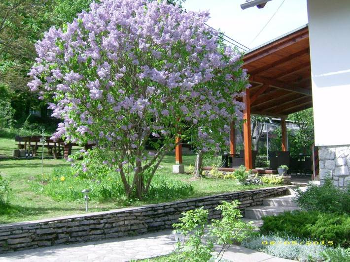 Maison d’hôte pour 3 personnes, avec terrasse ainsi que vue et jardin dans Plitvička Jezera - 4