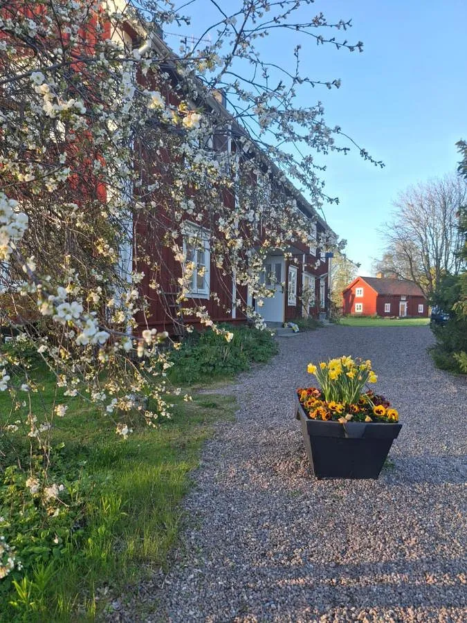 Hostel für 2 Personen, mit Ausblick und Garten - 1