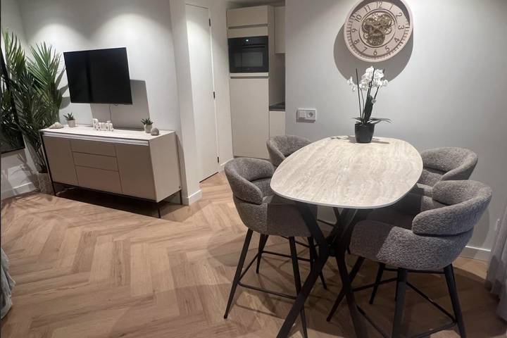 Ferienwohnung für 3 Personen, mit Terrasse in Zandvoort - 3