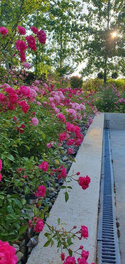 Location de vacances pour 6 personnes, avec piscine ainsi que jardin et vue à Saint-Martin-de-Gurson - 4