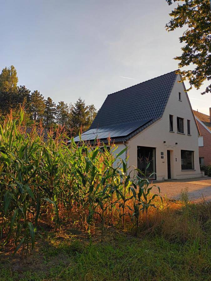 Chambre d’hôte pour 4 personnes, avec Terrasse ainsi que Jardin et Vue à Jabbeke