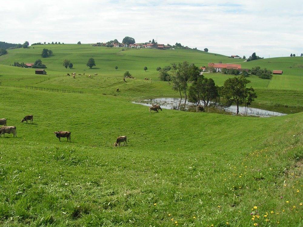 Pension Mittelallgäu - Zimmer 4 (mit fabelhaftem Frühstück) in Betzigau, Bayerisch Schwaben