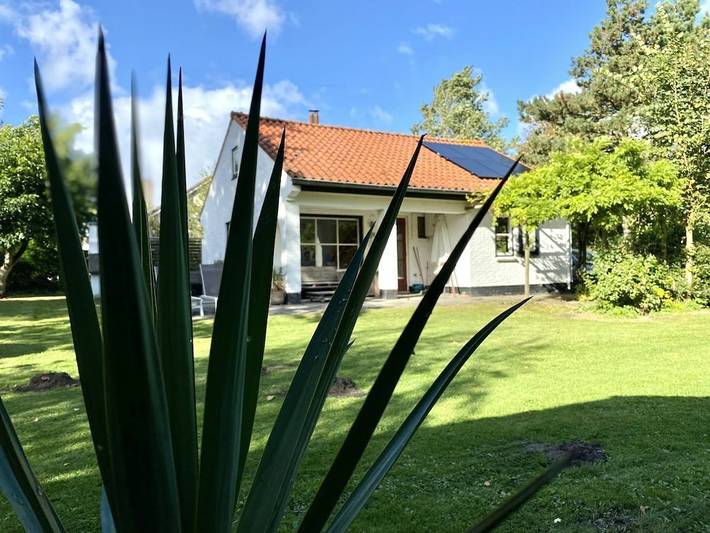 Ferienhaus für 6 Personen, mit Terrasse und Garten in Cadzand - 2